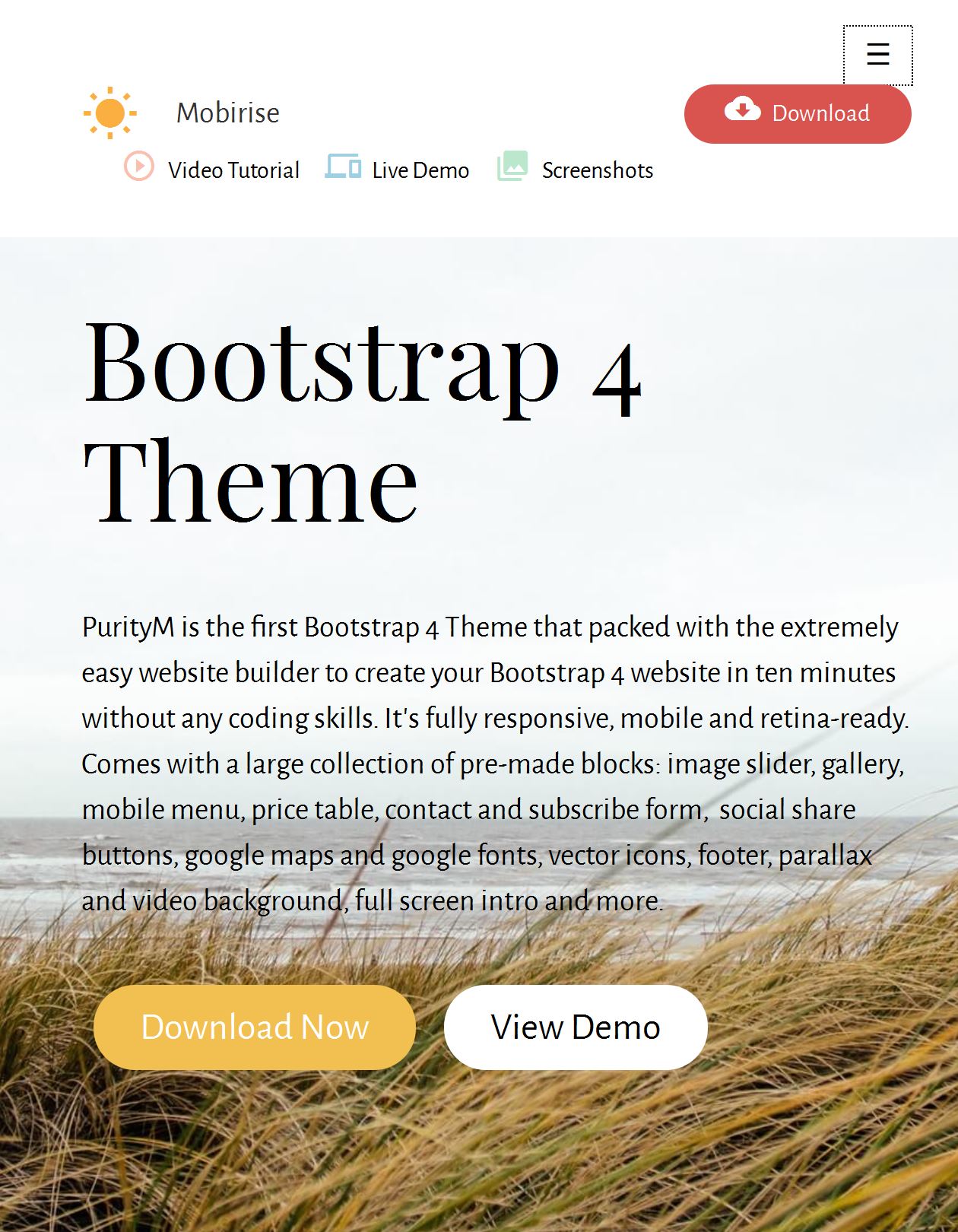 Bootstrap Hosting Template